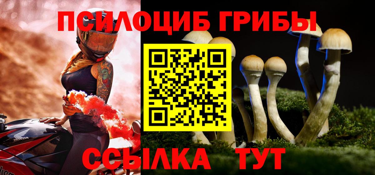 Псилоцибиновые грибы GOLDEN TEACHER Усть-Джегута
