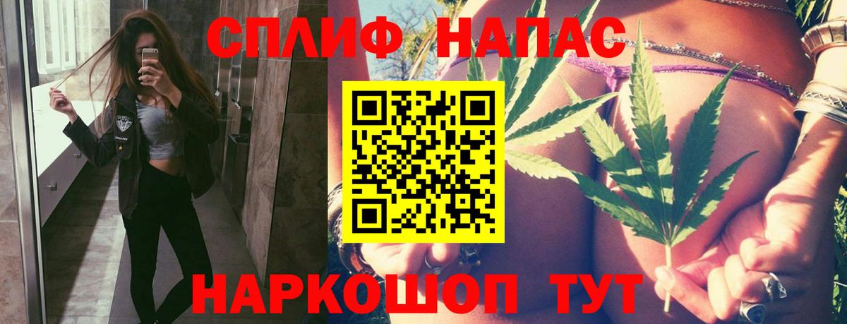 Конопля план  Конопля AK-47  Вход с VPN  Усть-Джегута 